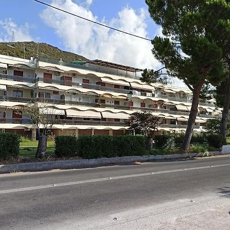 Lovely Beachfront Studio Malaki Exterior photo